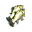 Crucian (vivo)