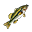 Robalo (vivo)