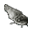 Peixe-Gato (cru)