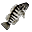 Coreoperca (cru)