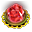 Flor Elemental