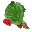 Árvore Sanpon Medicinal