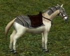Cavaloarmadobranco.jpg