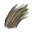 Pêlo de Lobo.png