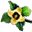 Flor de Kaki.png
