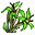 Flor do Vento do Norte.png