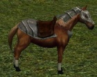 Cavaloarmadocastanho.jpg