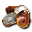Raiz de Flor-Rocha.png