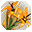 Planta Dourada.png