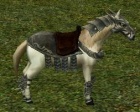 Cavalomilitarbranco.jpg