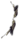 Arco Corvo Negro.png