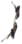 Arco Corvo Negro.png