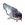Peixe Gato.png