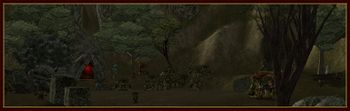 Floresta.jpg