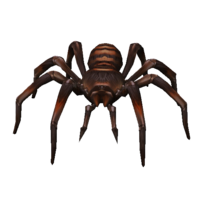 Bebé Aranha Venenosa.png
