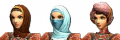 Ninja Fem PArabe.png