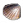 Ostra.png