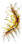 Arco Ornamentado.png