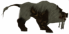Scrofa.png