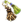 Pequena Vassoura.png