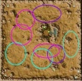 Metins.deserto.jpg