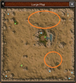 Deserto lvl 40.png