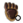 Pele de Pé de Urso+.png