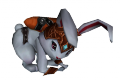 Cooper3.png