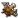 Leque Dragão.png