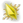Lasca Poder Amr. Luzente.png