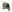 Chapéu do Cardeal.png