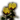 Flores (M).png