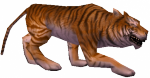 Tigre Feroz