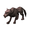 Lobo Cinzento Feroz