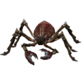 Aranha Rubi Venenosa.png