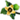 Flor de Kaki.png
