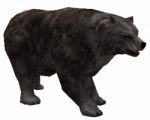 Urso Cinzento