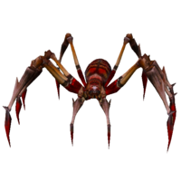 Aranha Vermelha Venenosa.png