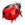 Bug.png