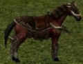 Cavalomilitarpreto.jpg