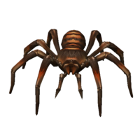 Aranha Alfa