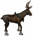RenaFJovem.png