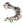 Ossos de Esqueleto.png
