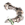 Ossos de Esqueleto.png