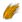 Pêlo de Lobo (M).png