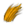 Pêlo de Lobo (M).png