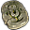 Pedra Ornamentada.png