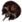 Leque do Demónio.png