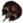 Leque do Demónio.png