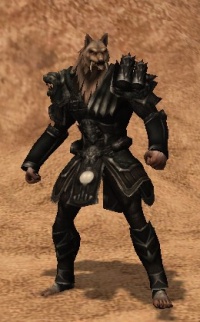 Armadura Erva-Moura Jogo.jpg